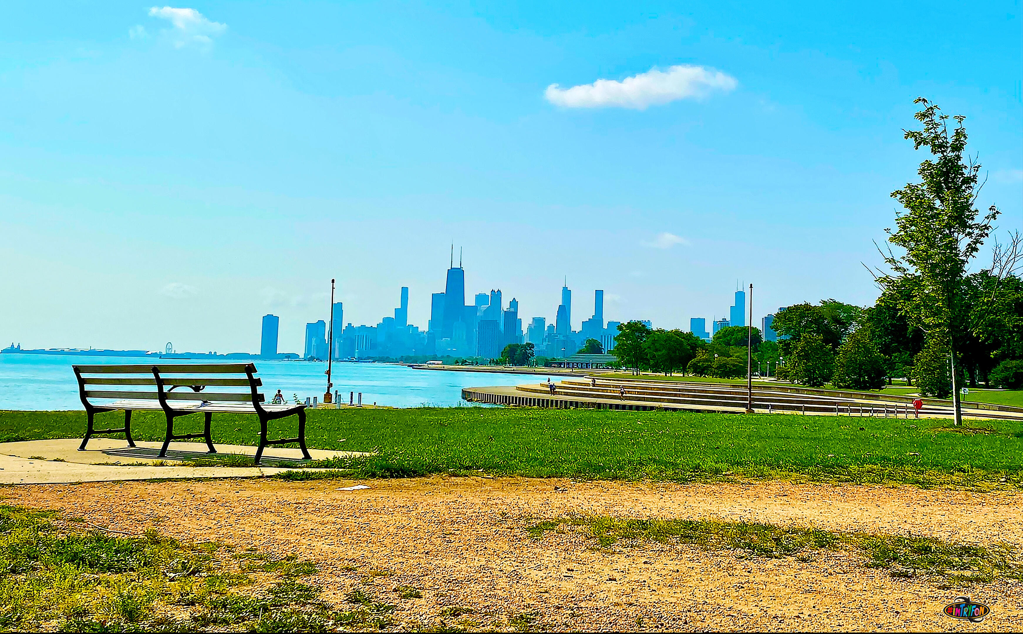 Chicago Skyline Bench - Summer