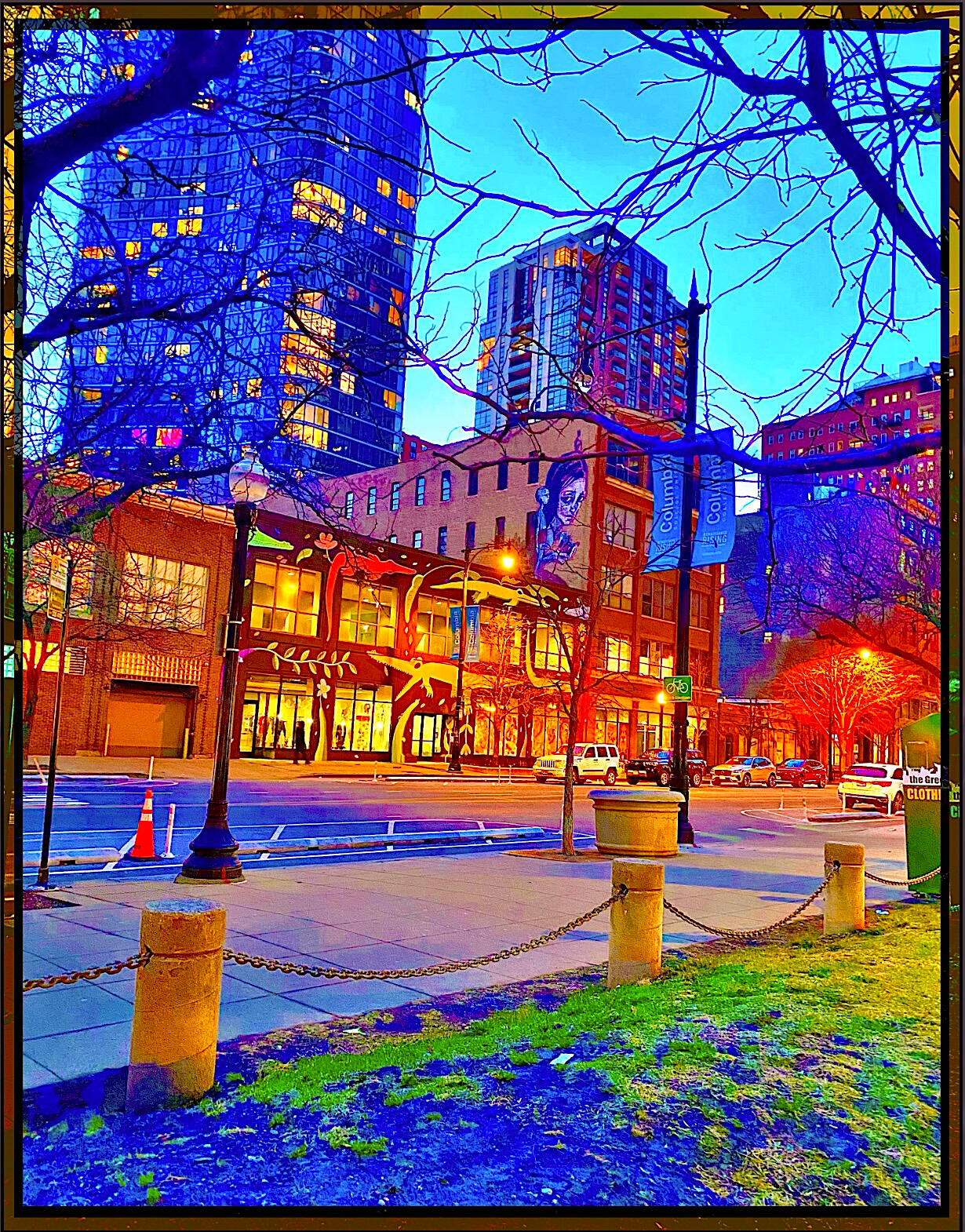 Columbia College Nights