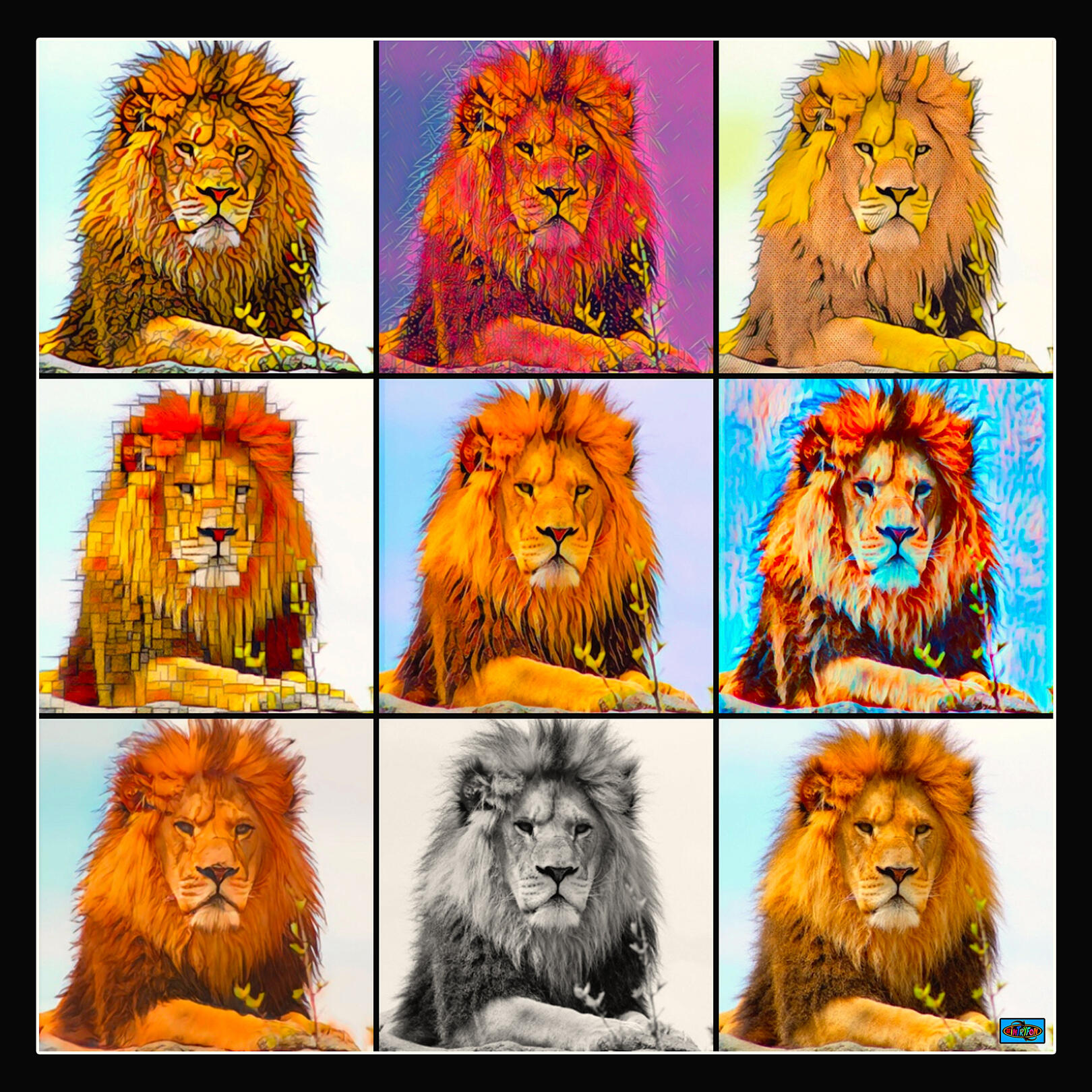 Jabari Lion Grid 2