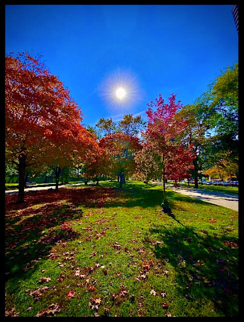 Fall Sun in the Park